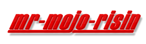mr-mojo-risin.net